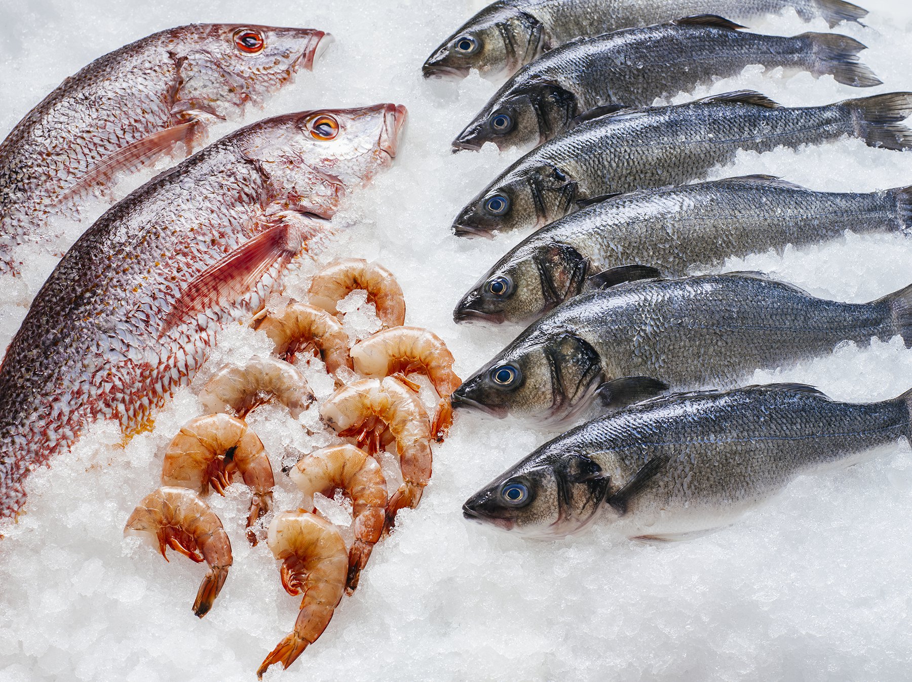 Fish Processing Facilities: The Importance of Cold Storage for Seafood