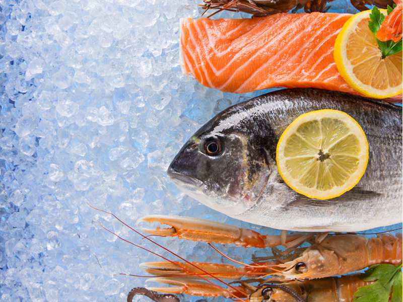 Fish Processing Facilities: The Importance of Cold Storage for Seafood