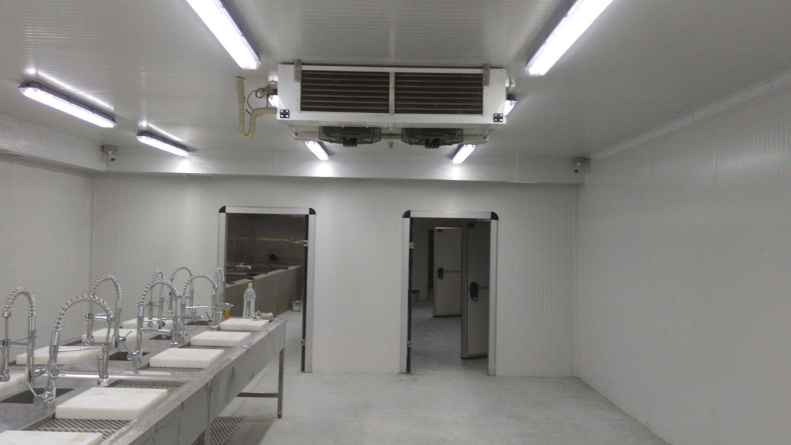 Fish Processing Facilities: The Importance of Cold Storage for Seafood