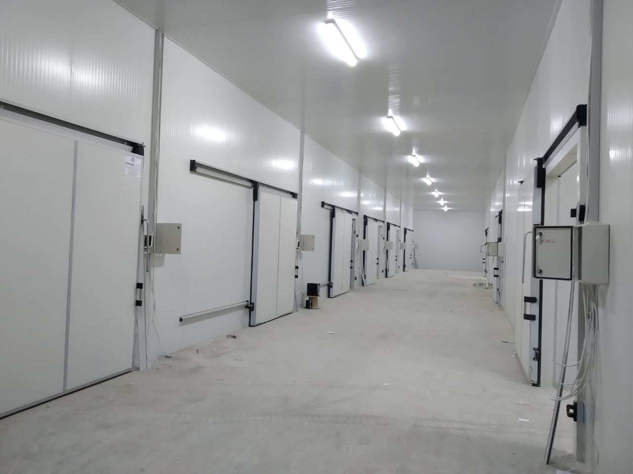 Energy Savings in Cold Storage